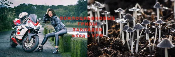 мет Аркадак
