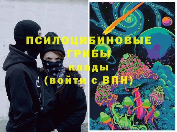 2c-b Армянск